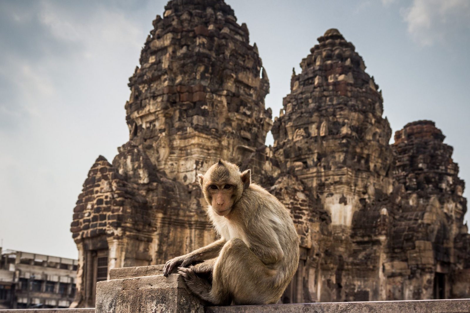 Thajsko 2 – Do Mae Sot přes Opičí město Lopburi