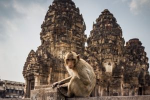Thajsko 2 – Do Mae Sot přes Opičí město Lopburi