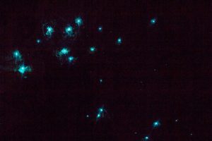 Glowworms v Moria Gate