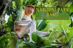 Národní park Bako, perla Bornea a domov nosatých opic