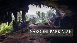 Národní park Niah, jeskyně pravěkých lidí a akrobatických sběračů hnízd