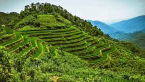 Vietnam 22 - Výlet mezi obří rýžové terasy do Hoang Su Phi