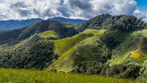 Laos 2 - Phongsali uprostřed hor, čaje a etnik
