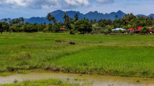 Malajsie 7 - Dohra na Langkawi a cesta na Bali