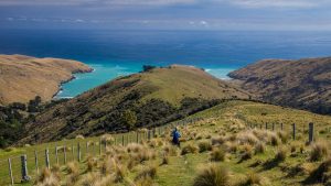 Pomalé objevování poloostrova Akaroa