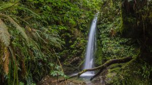 4. Vodní radovánky v Peel Forest a Te Moana Valley