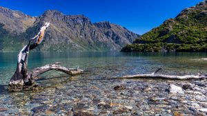 Mavora Lakes, potlučený foťák a jediné velké město Jihu Invercargill