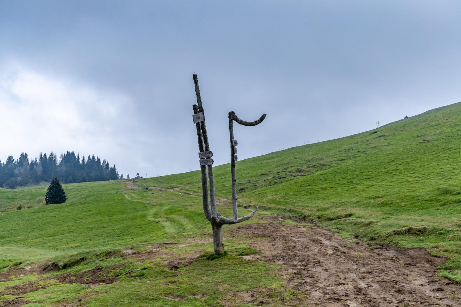 Cesta mezi Velikou a Malou Planinou