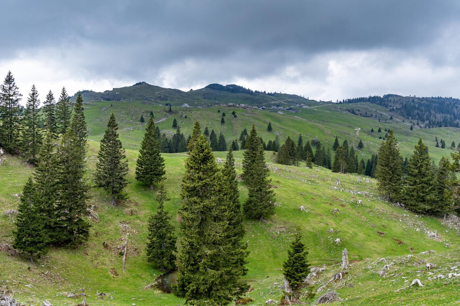 Veliká Planina