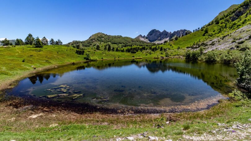 Gornje Bare