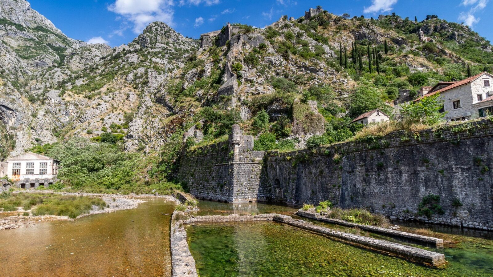 Kotor