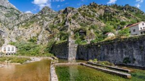 Kotor
